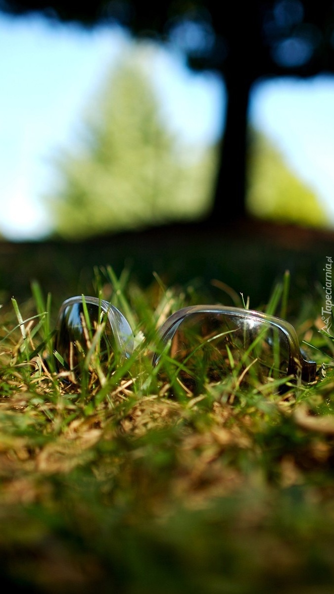 Okulary w trawie