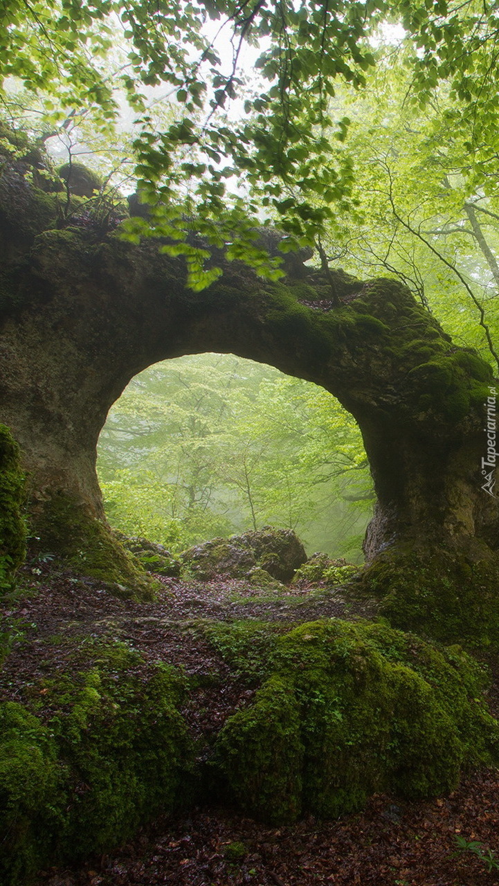 Omszały łuk skalny