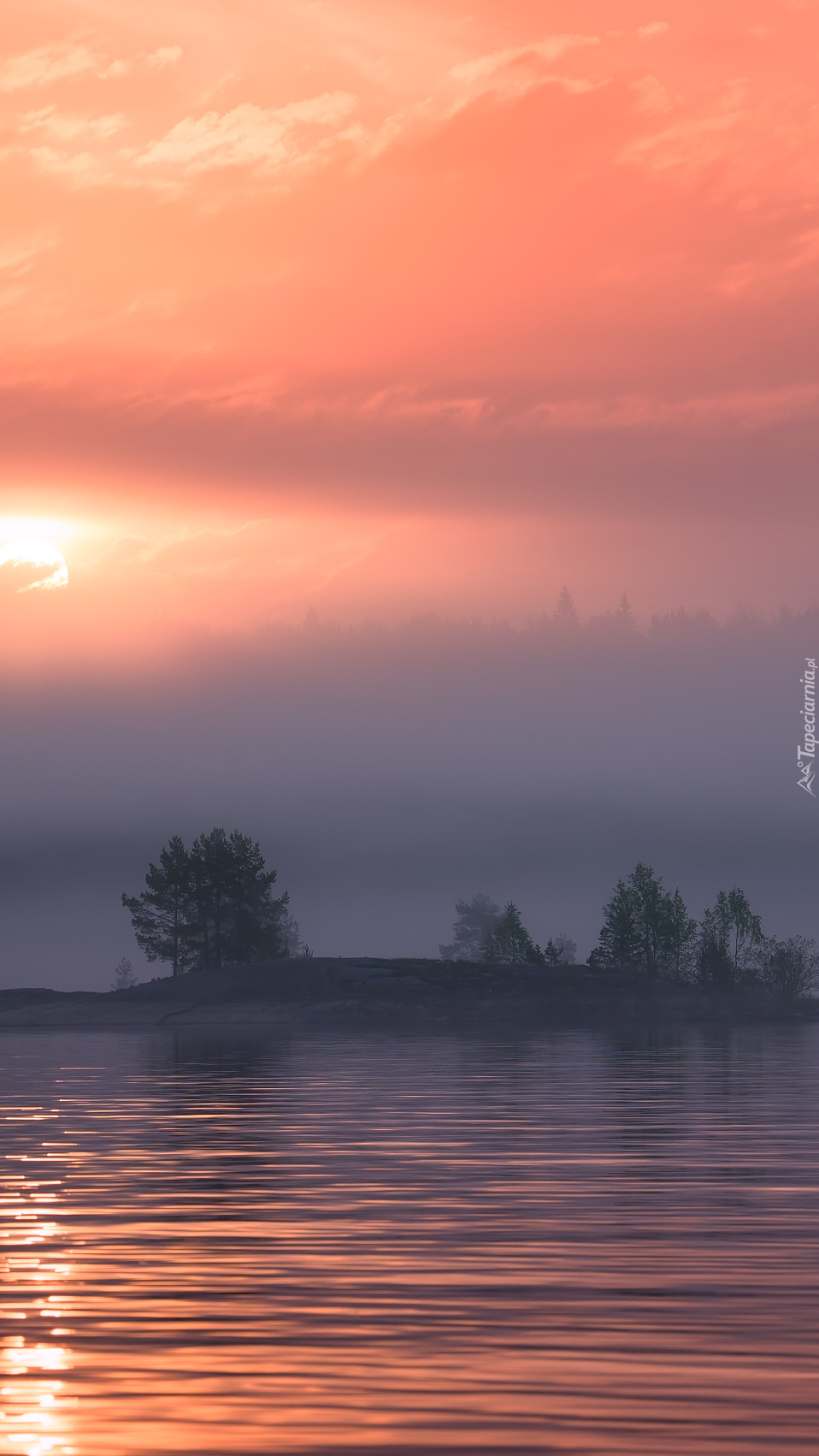 Opadająca mgła nad jeziorem Ładoga