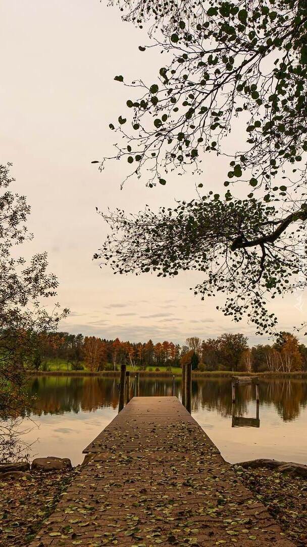 Opadłe liście na pomoście nad jeziorem Katzensee