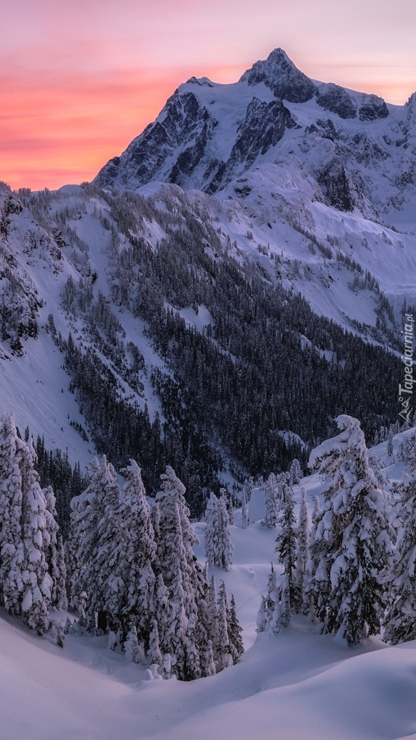 Ośnieżona góra Mount Shuksan