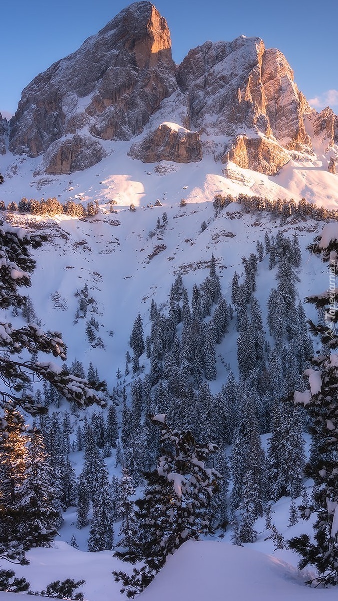 Ośnieżona góra Sass de Putia w Dolomitach