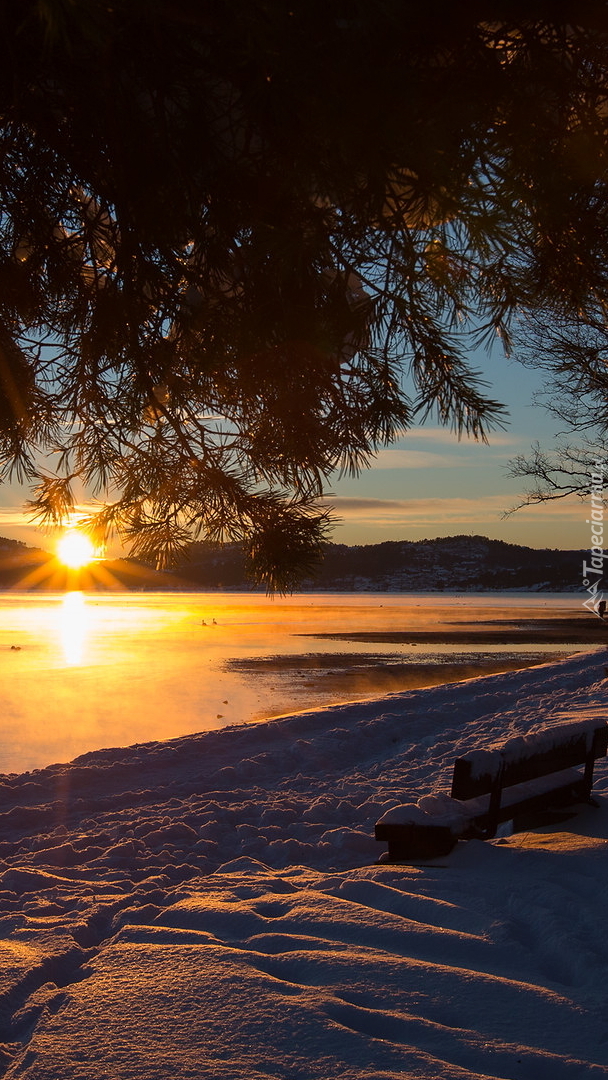 Ośnieżona ławeczka nad fiordem Topodalsfjorden