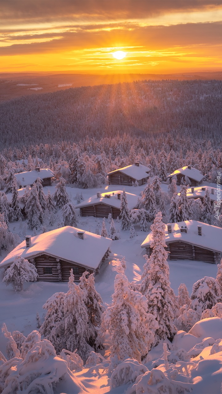Ośnieżone domki w lasach Finlandii
