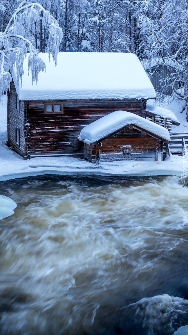 Ośnieżone drzewa i chata nad rzeką