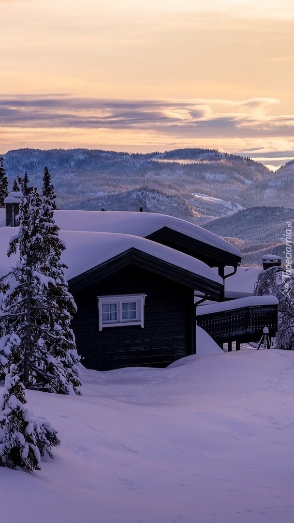 Ośnieżone drzewa i domy w Valdres