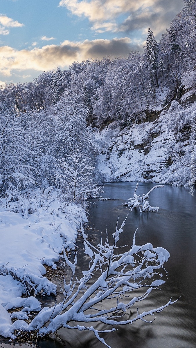 Ośnieżone drzewa i skały nad rzeką