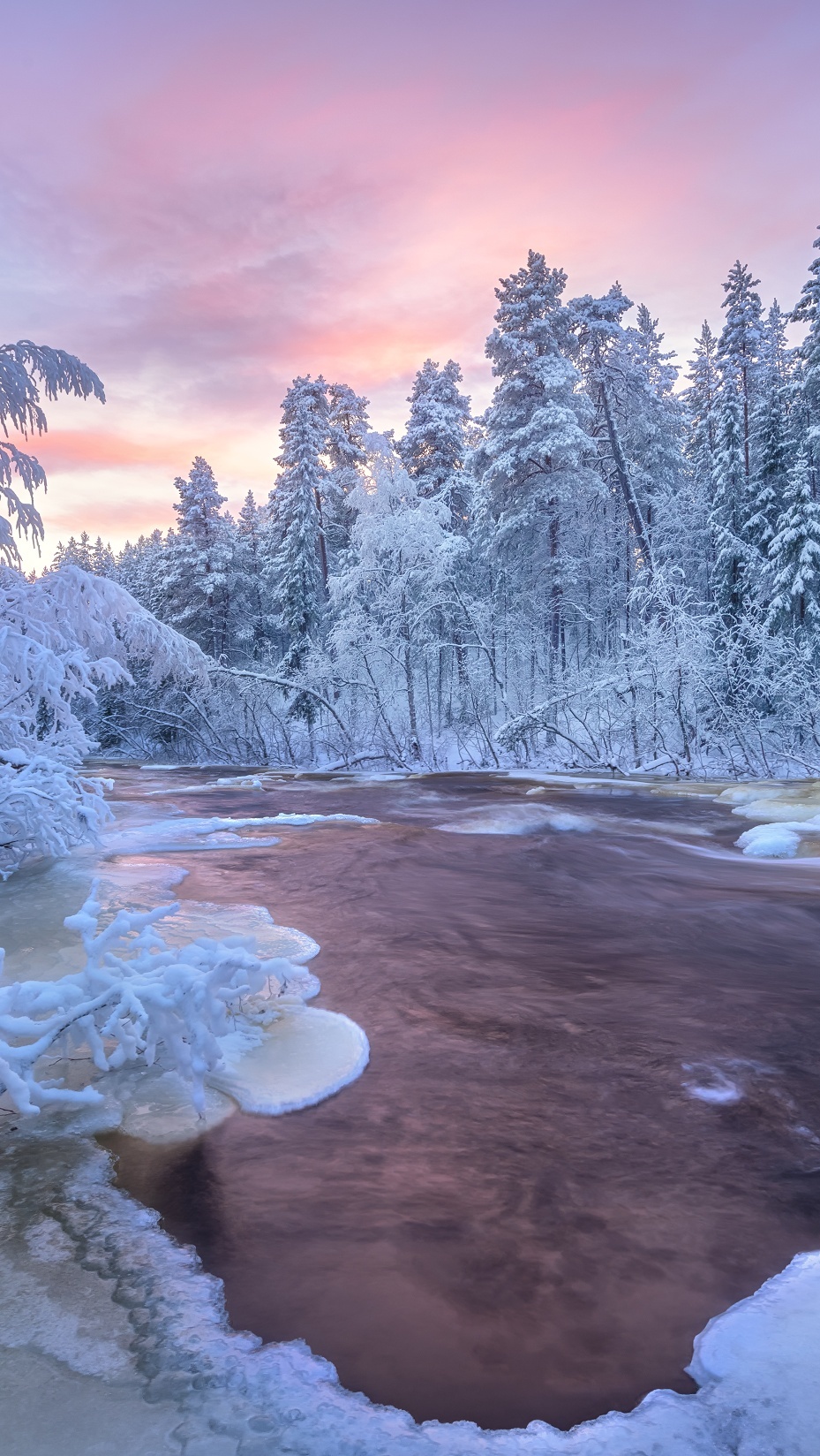 Ośnieżone drzewa nad rzeką pod kolorowym niebem