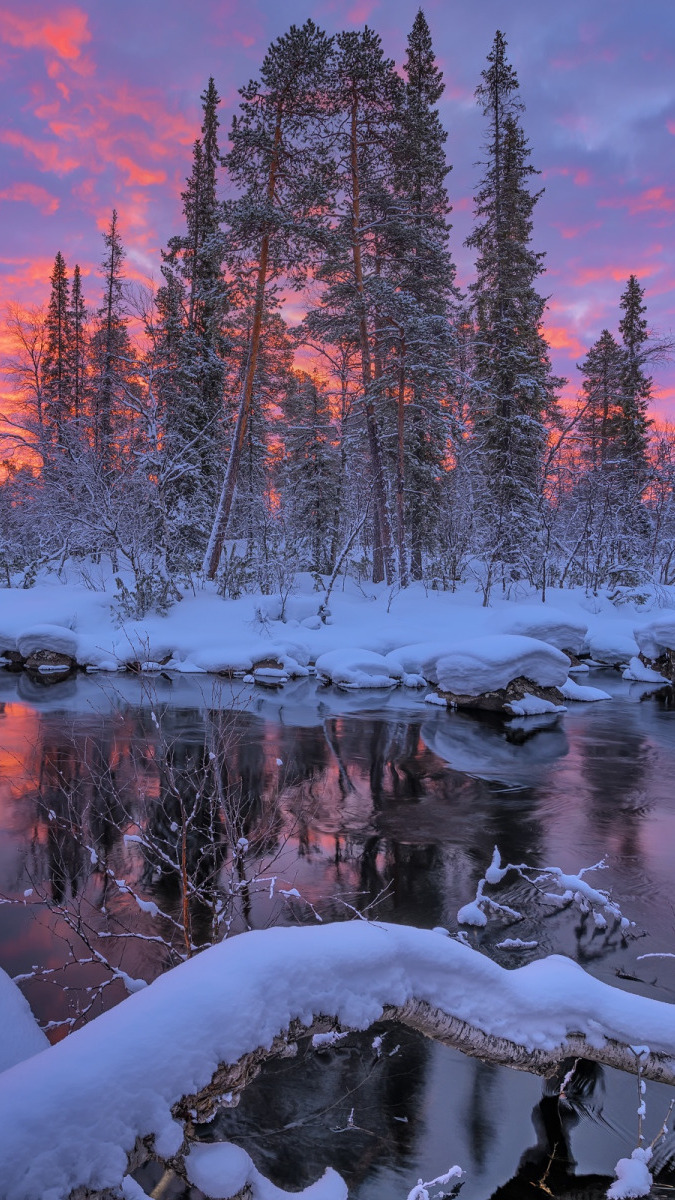 Ośnieżone drzewa nad rzeką pod kolorowym niebem
