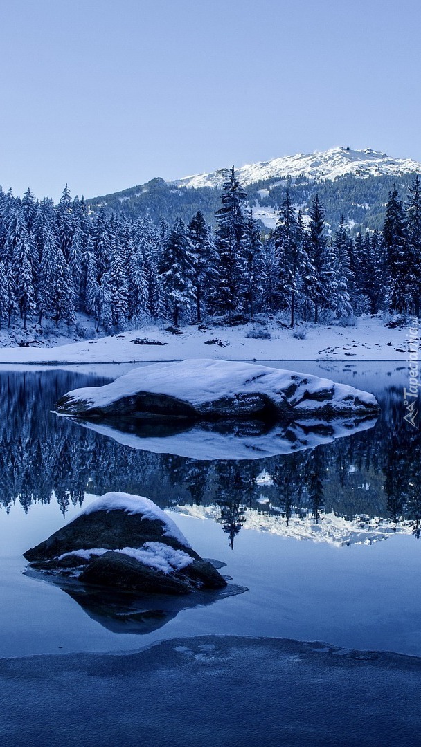 Ośnieżone drzewa nad szwajcarskim jeziorem Caumasee