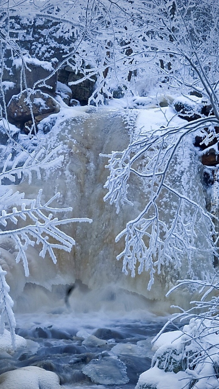 Ośnieżone drzewa nad wodospadem