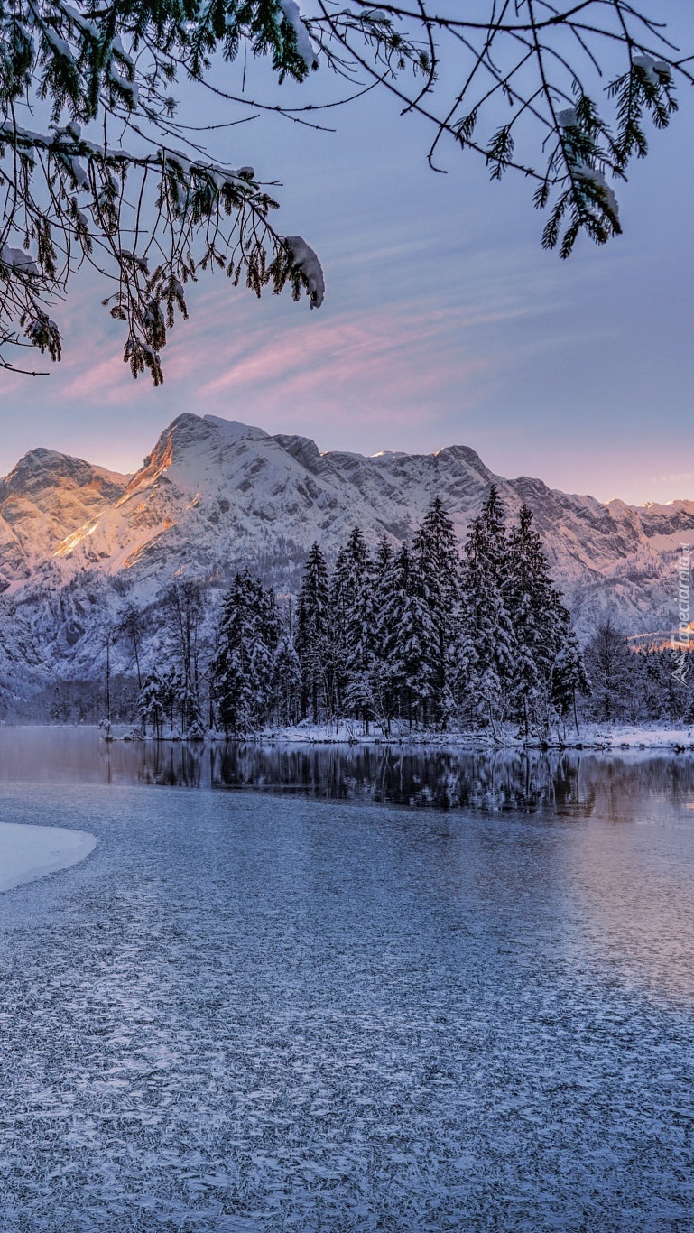 Ośnieżone drzewa w górach nad jeziorem Almsee