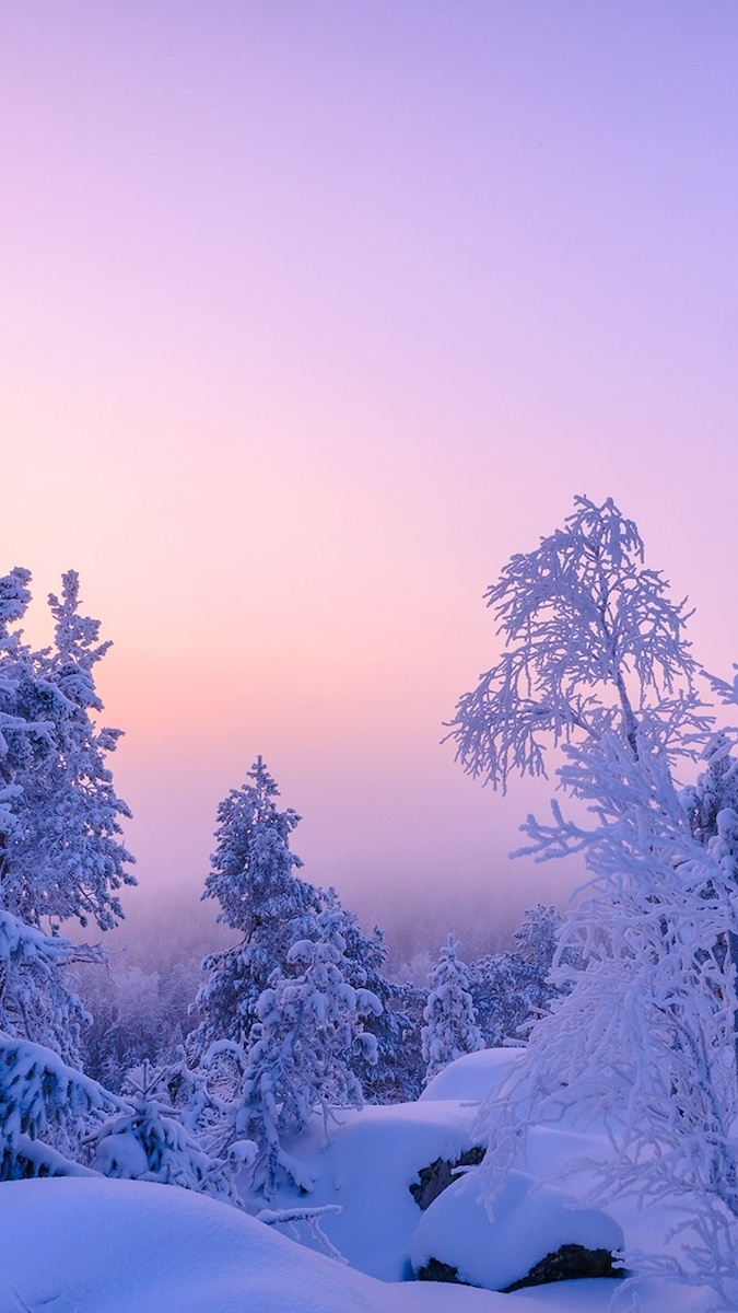 Ośnieżone drzewa w zaspach pod kolorowym niebem