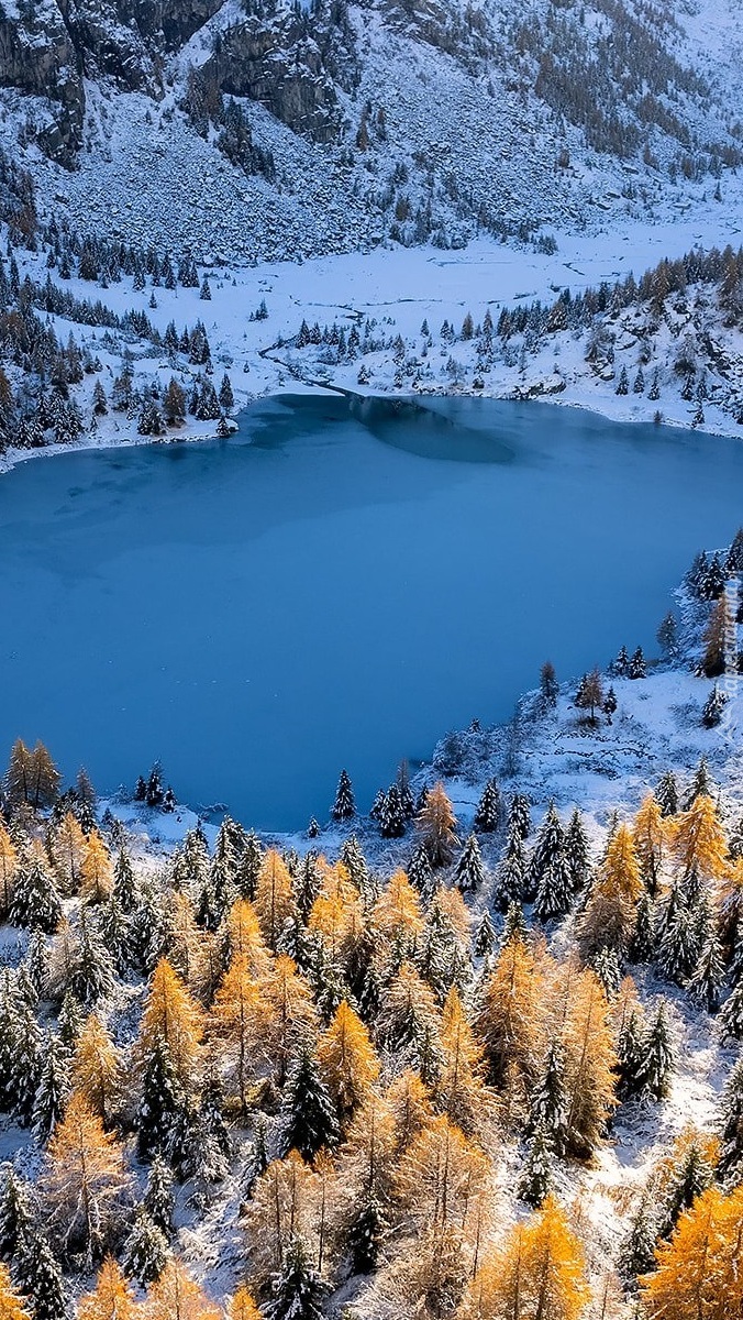 Ośnieżone góry i drzewa nad jeziorem Aviolo Lake