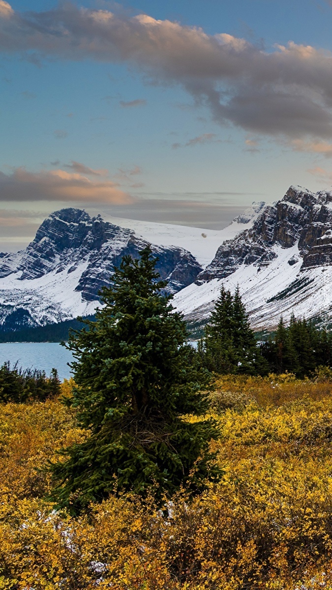 Ośnieżone góry w Parku Narodowym Banff