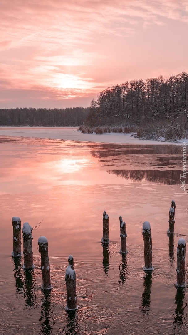 Ośnieżone pale w jeziorze