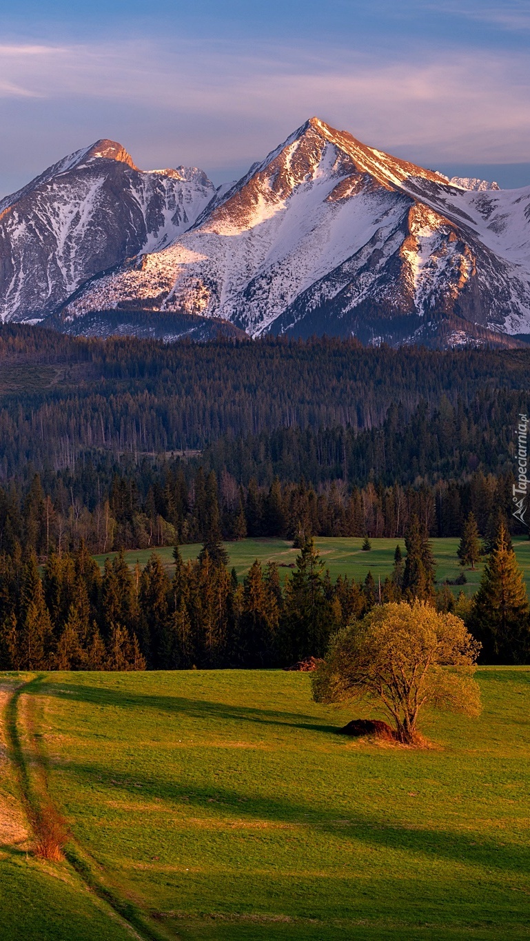 Ośnieżone Tatry