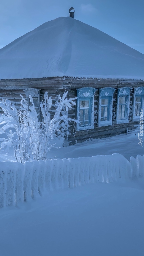 Ośnieżony dom i ogrodzenie w zaspach śniegu