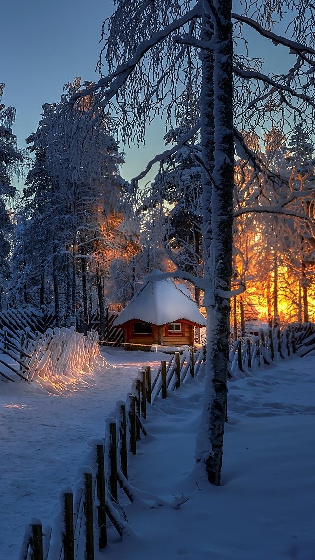 Osnieżony dom pod lasem
