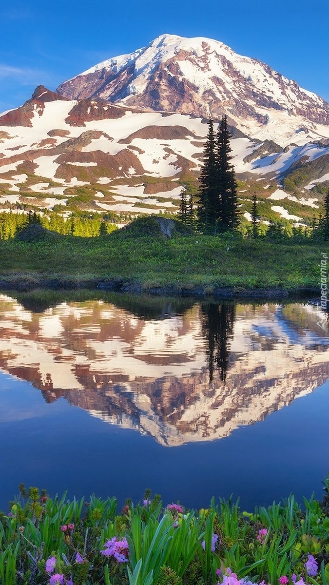 Ośnieżony stratowulkan Mount Rainier