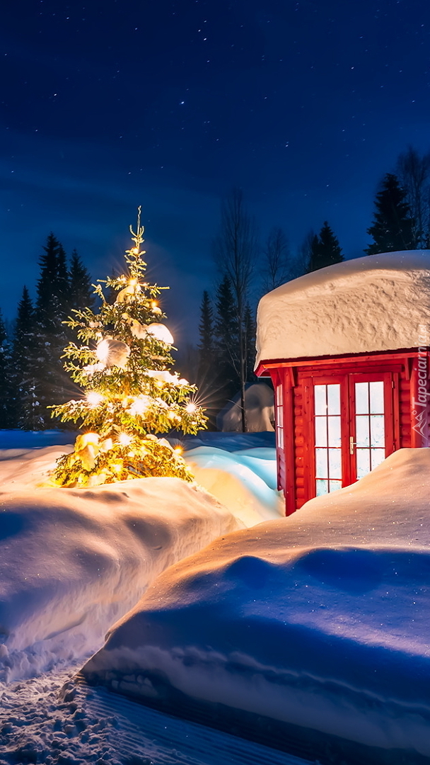 Oświetlona choinka w śniegu obok czerwonej budki
