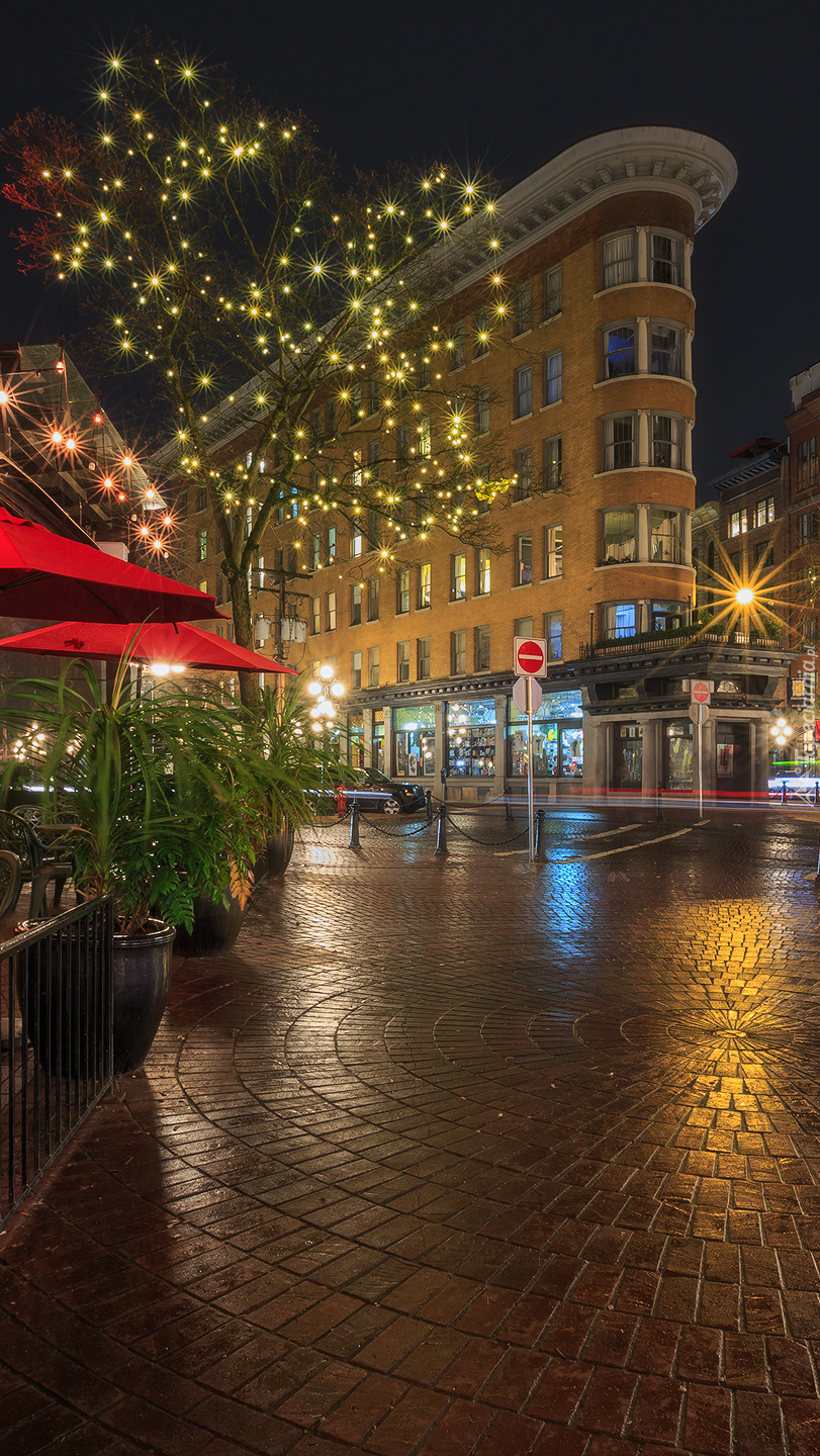 Oświetlone drzewo obok budynku Flatiron w Vancouver