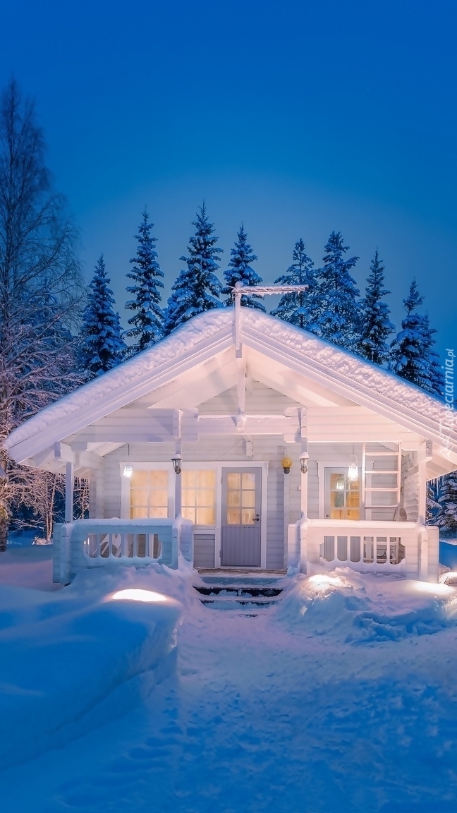 Oświetlony domek zimą