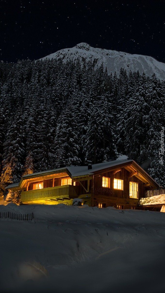 Oświetlony nocą dom w śniegu pod lasem