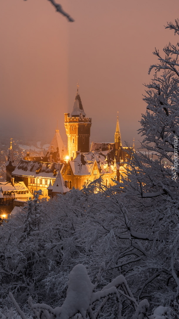 Oświetlony nocą Zamek Wernigerode