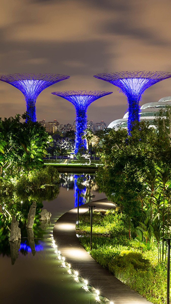 Oświetlony ogród Gardens by the Bay w Singapurze