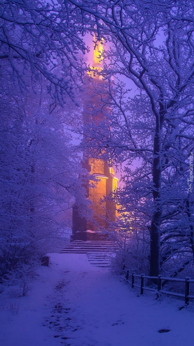 Oświetlony Pomnik Column Of Holy Mary