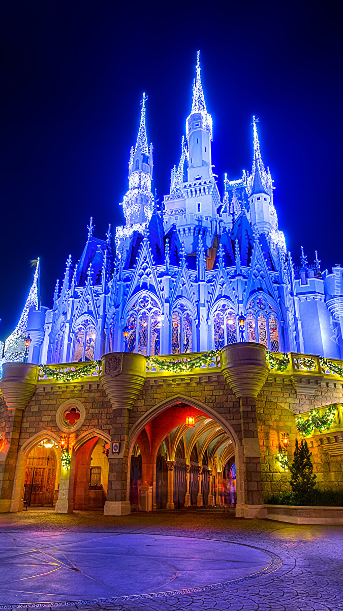 Oświetlony zamek Cinderella Castle