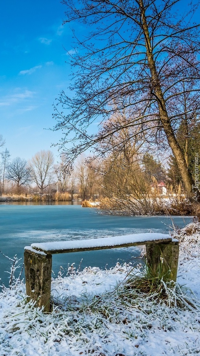 Oszroniona ławeczka nad rzeką