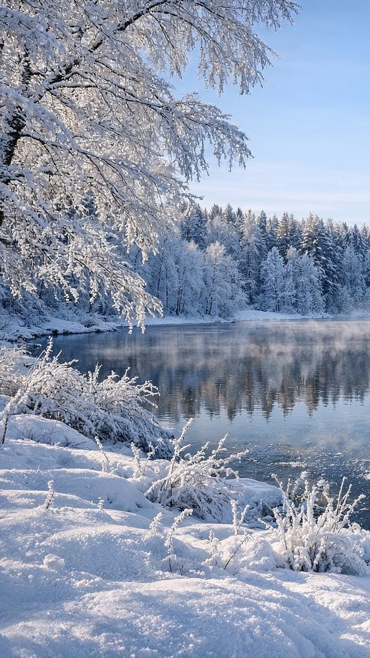 Oszronione drzewa i trawa nad rzeką