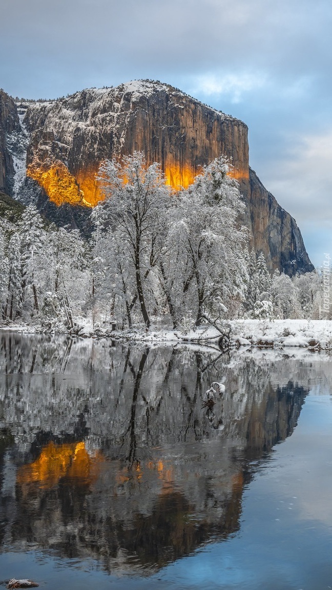 Oszronione drzewa nad rzeką Merced River na tle gór