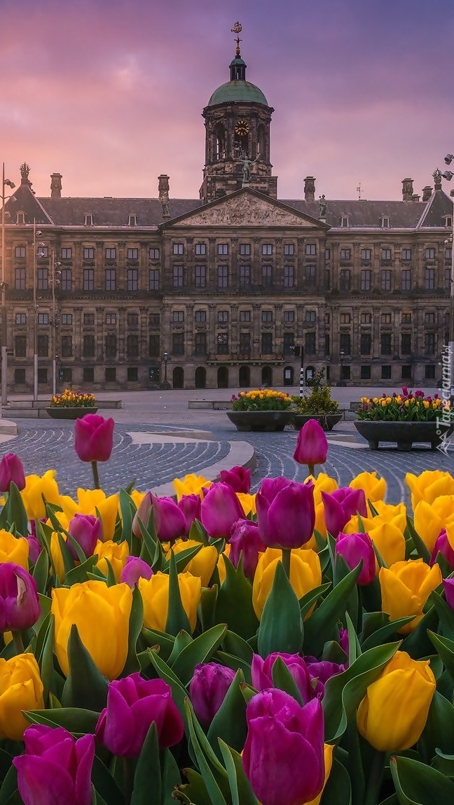 Pałac Królewski w Amsterdamie