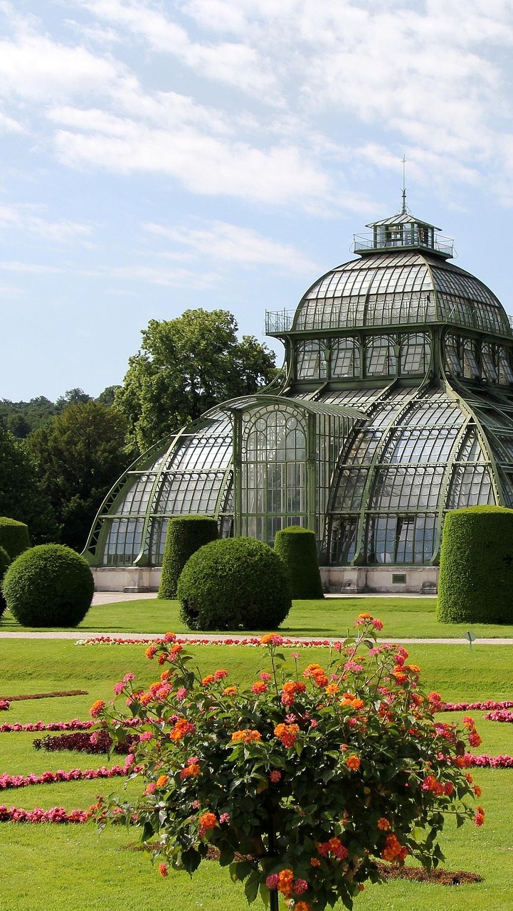 Palmiarnia w Pałacu Schonbrunn w Wiedniu