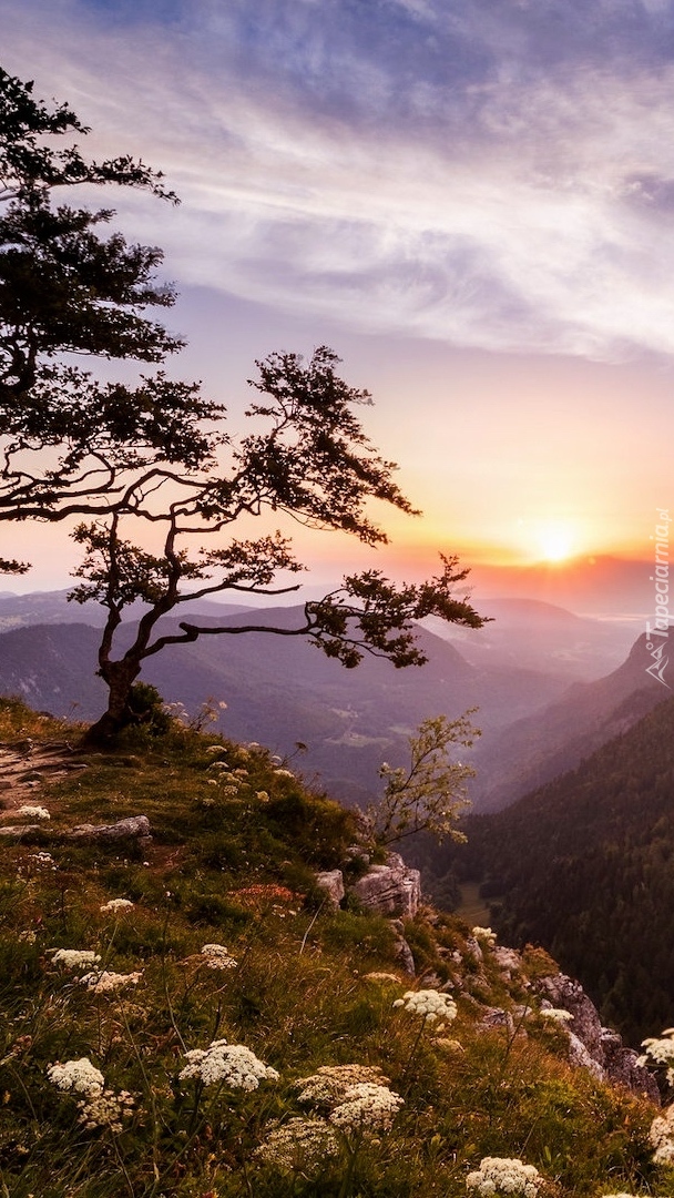 Panorama gór Jura o świcie