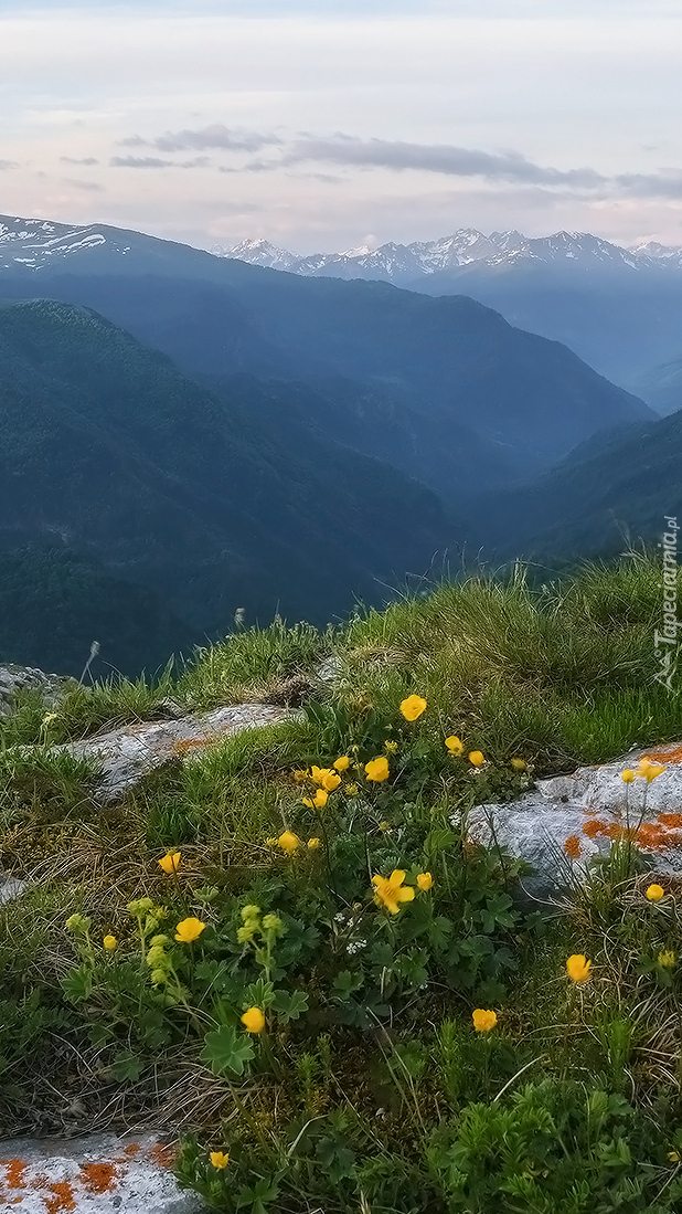 Panorama gór