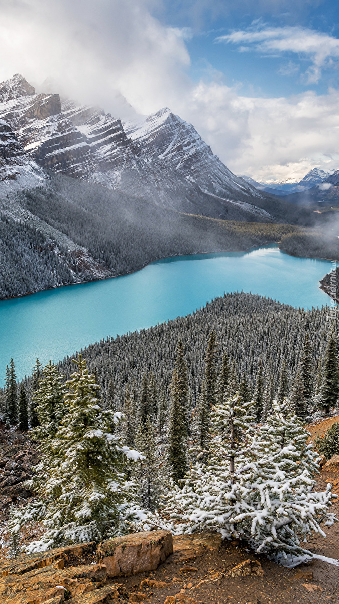 Panorama Parku Narodowego Banff zimą