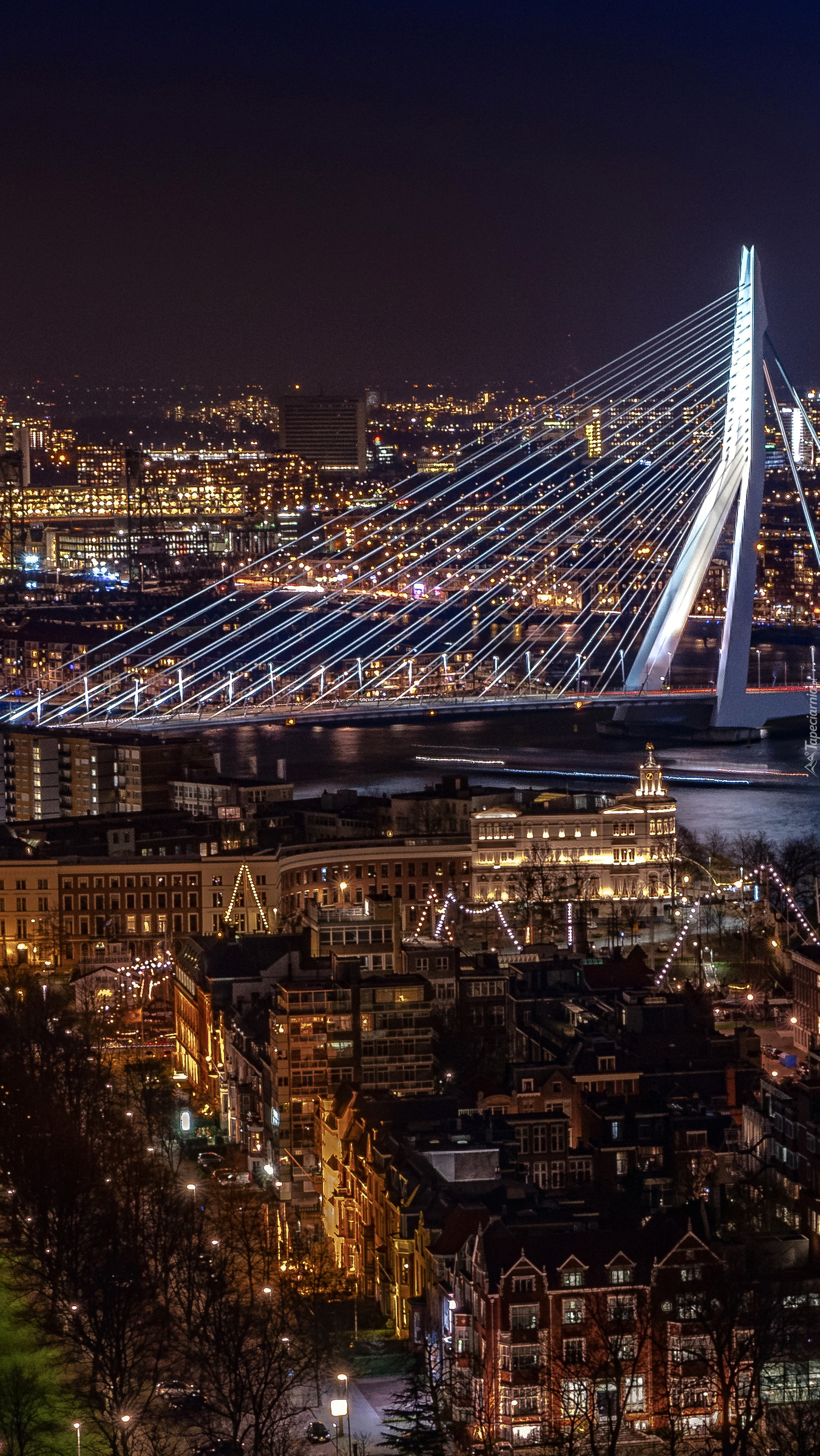 Panorama Rotterdamu nocą