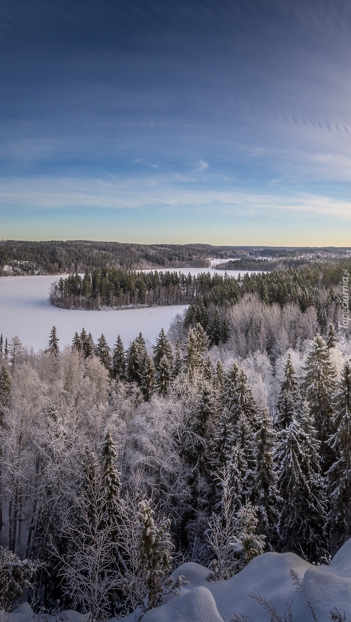 Park Aulanko w Finlandii zimą