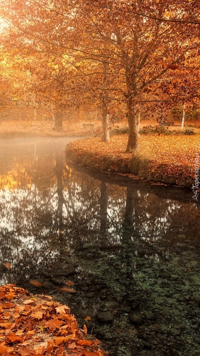 Park jesienią