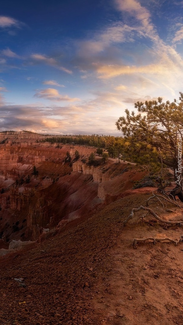 Park Narodowy Bryce Canyon