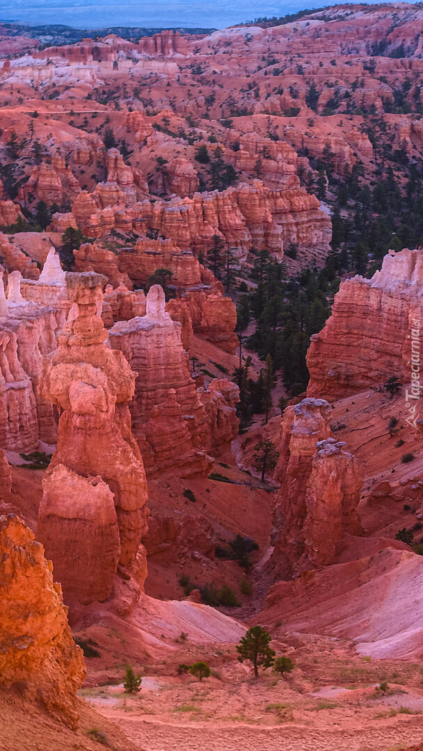 Park Narodowy Bryce Canyon w Utah