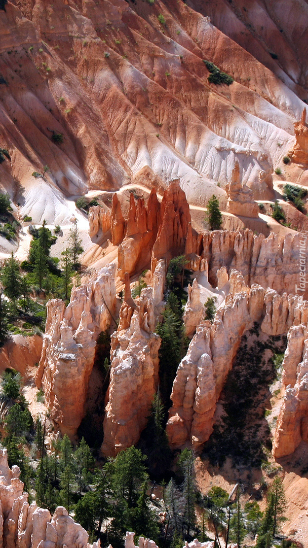 Park Narodowy Bryce Canyon