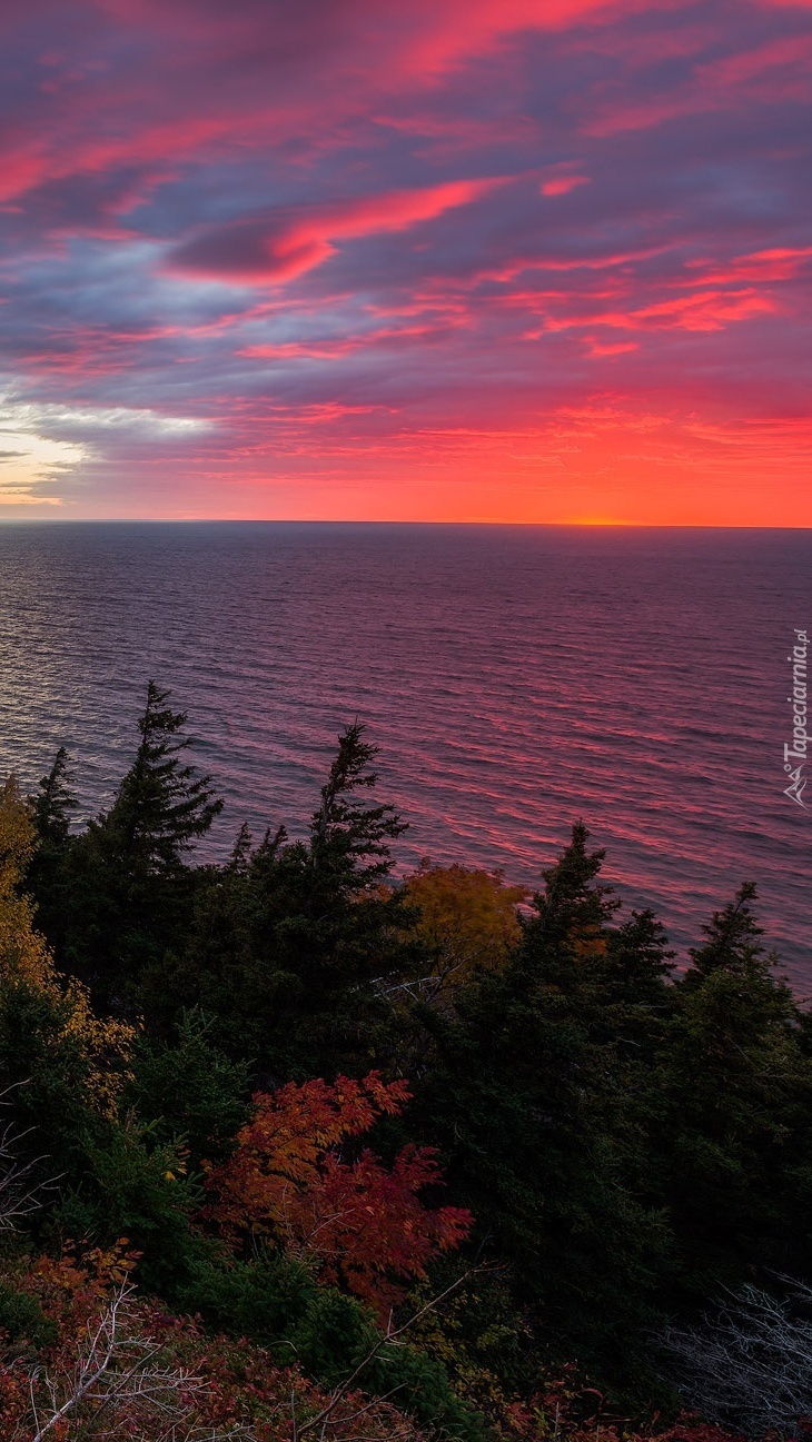 Park Narodowy Cape Breton Highlands jesienią