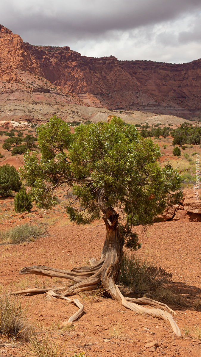 Park Narodowy Capitol Reef