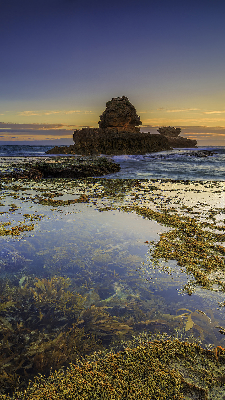 Park Narodowy Mornington Peninsula w Australii