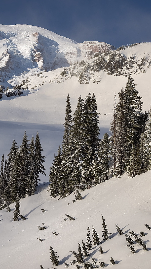 Park Narodowy Mount Rainier